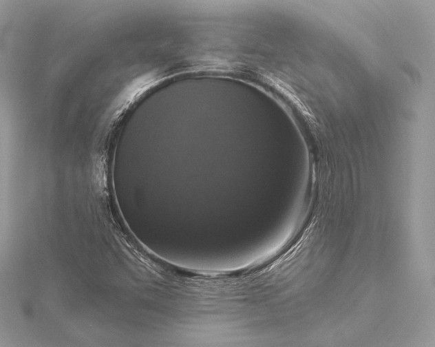 X0000115551455200911201750