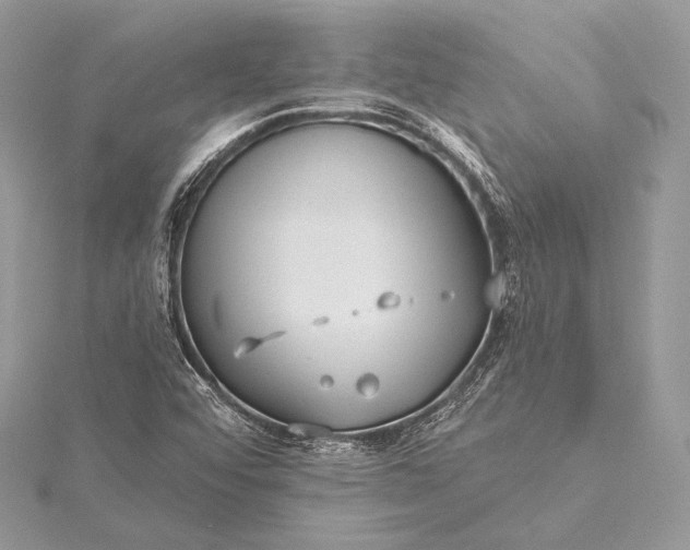 X0000115551456200911201750