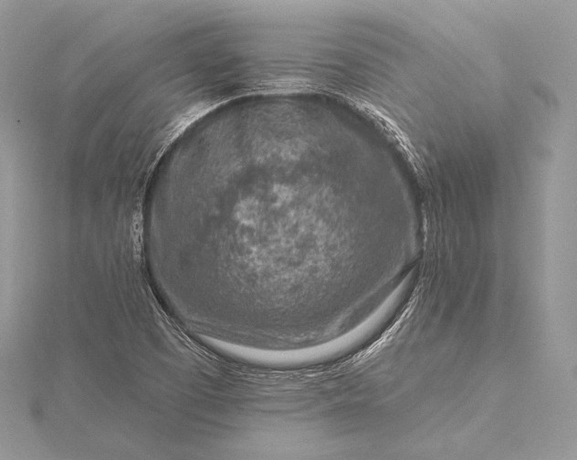 X0000115551457200911201750