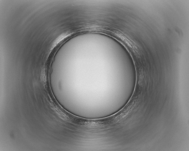 X0000115551458200911201750