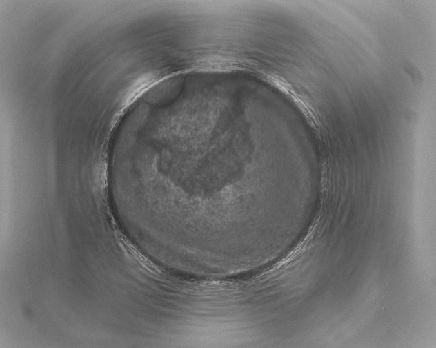 X0000115551459200911201750