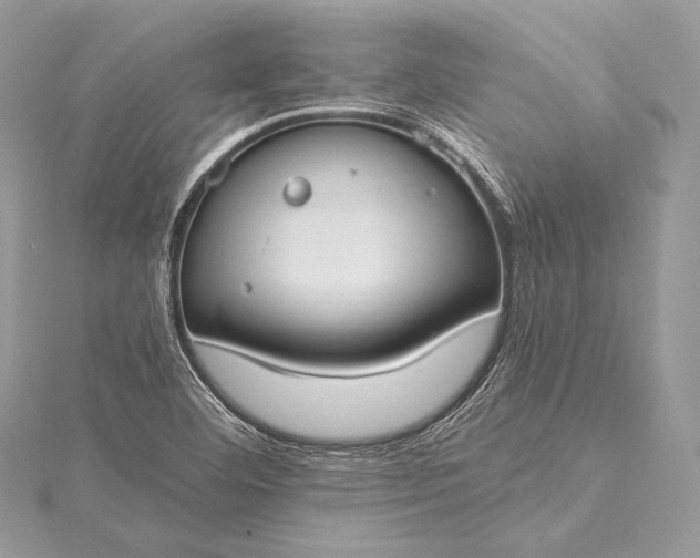 X0000115551460200911201750