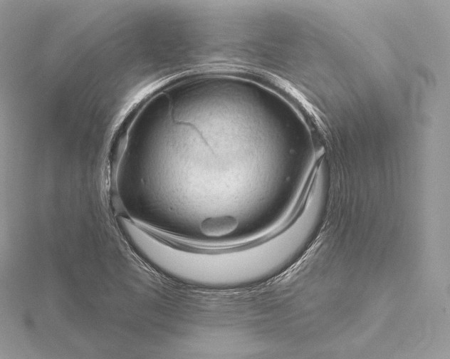 X0000115551461200911201750