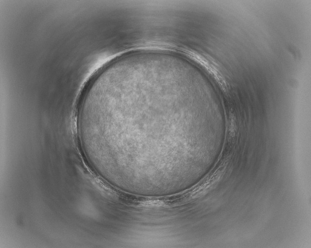 X0000115551462200911201750