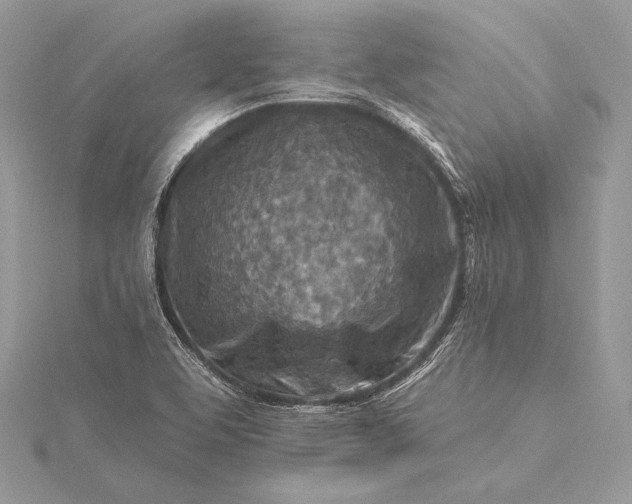 X0000115551463200911201750