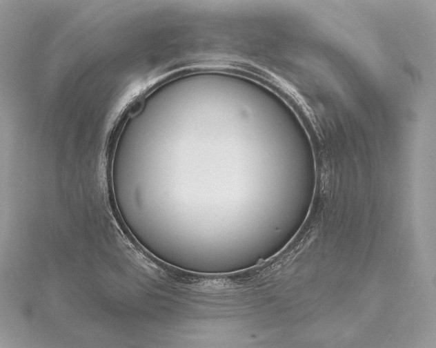 X0000115551464200911201750