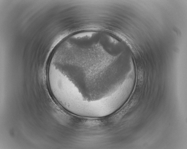 X0000115551466200911201750