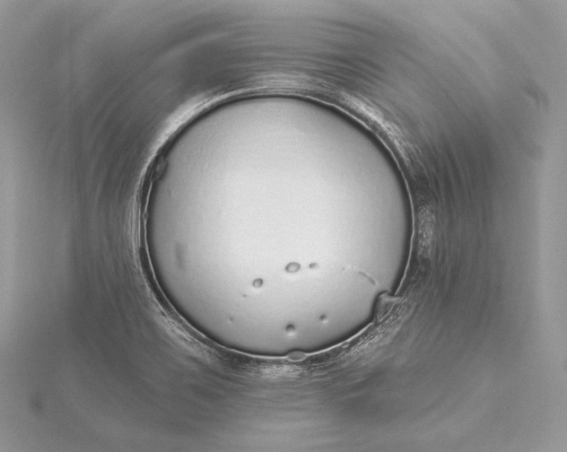 X0000115551467200911201750