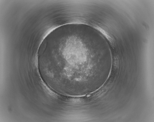 X0000115551468200911201750