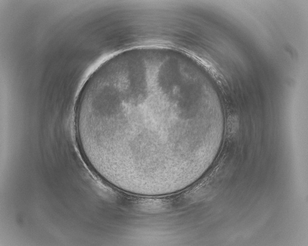 X0000115551470200911201750