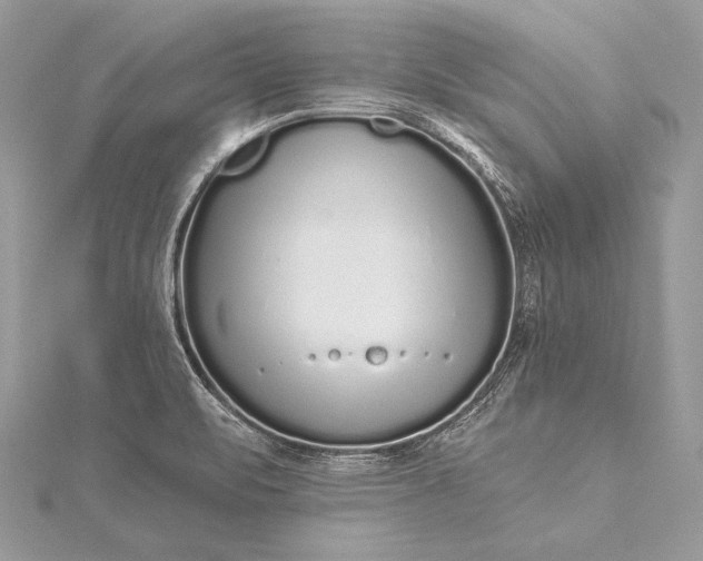 X0000115551471200911201750