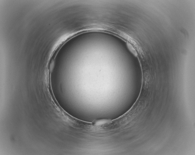 X0000115551472200911201750