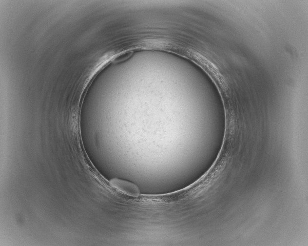 X0000115551473200911201750