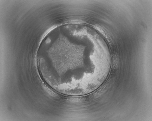 X0000115551474200911201750