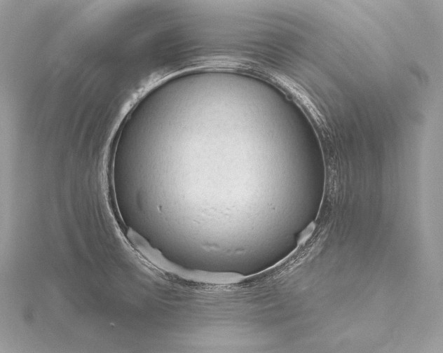 X0000115551475200911201750