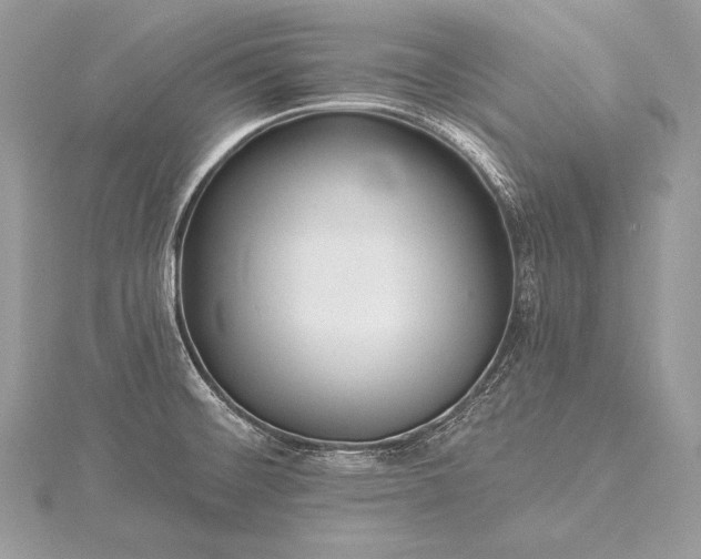 X0000115551476200911201750