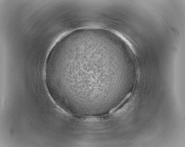 X0000115551477200911201750