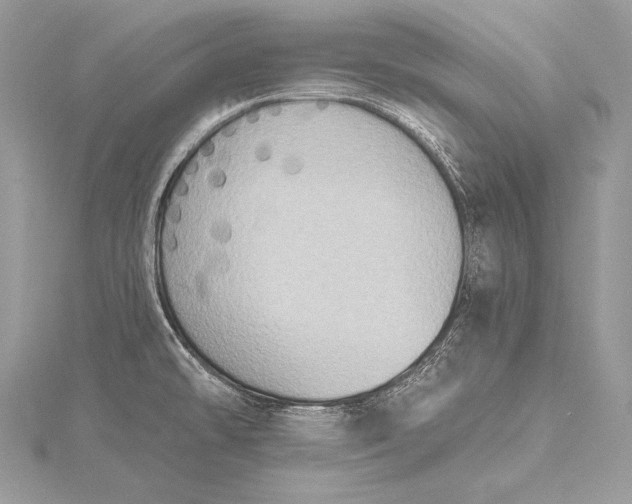 X0000115551478200911201750