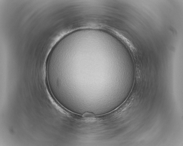 X0000115551479200911201750