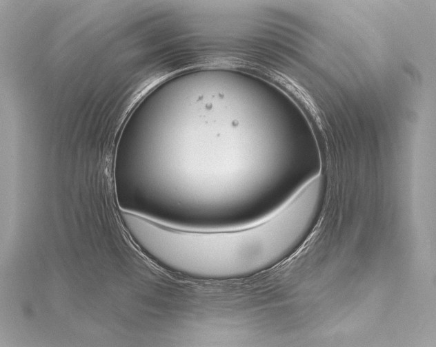 X0000115551481200911201750