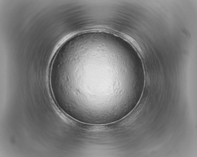 X0000115551482200911201750