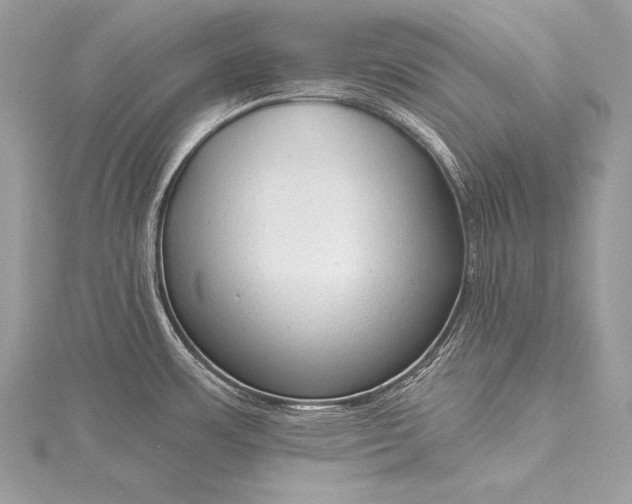 X0000115551483200911201750