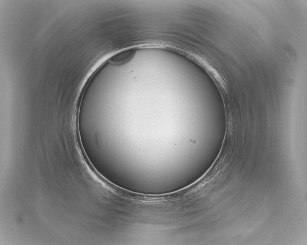 X0000115551484200911201750