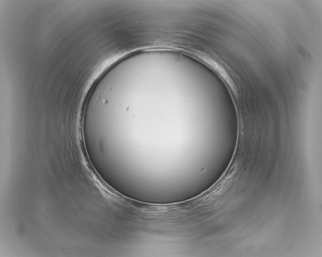 X0000115551485200911201750