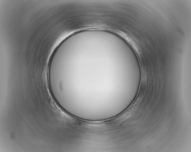 X0000115551486200911201750