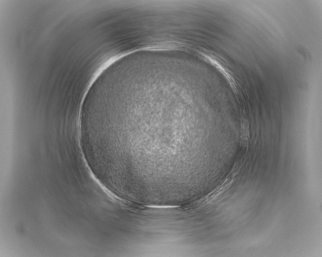 X0000115551487200911201750