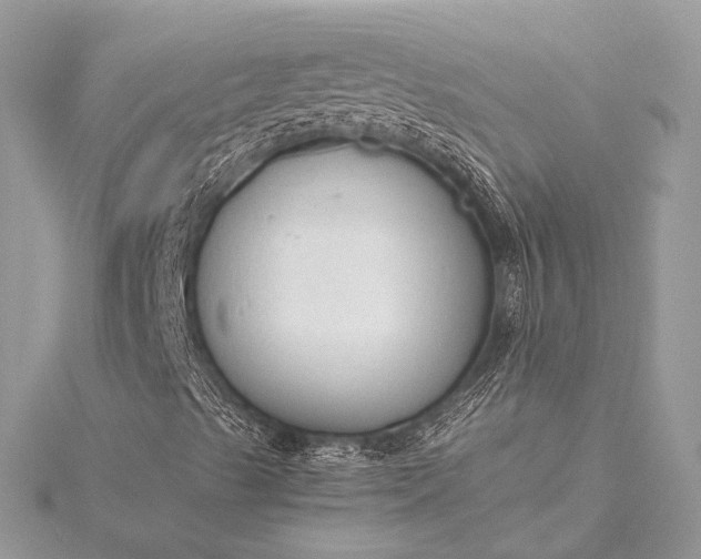 X0000115551489200911201749