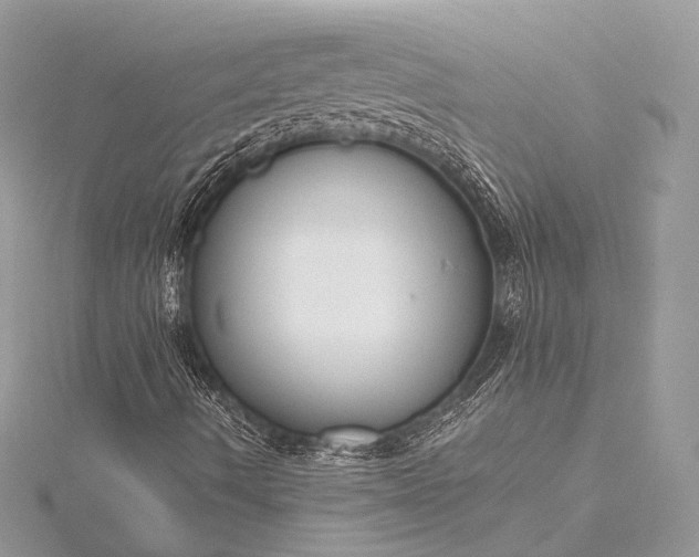 X0000115551490200911201749