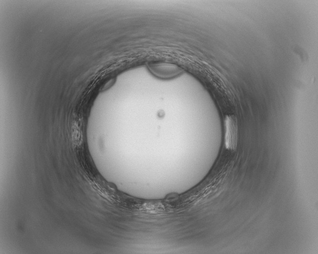 X0000115551491200911201749