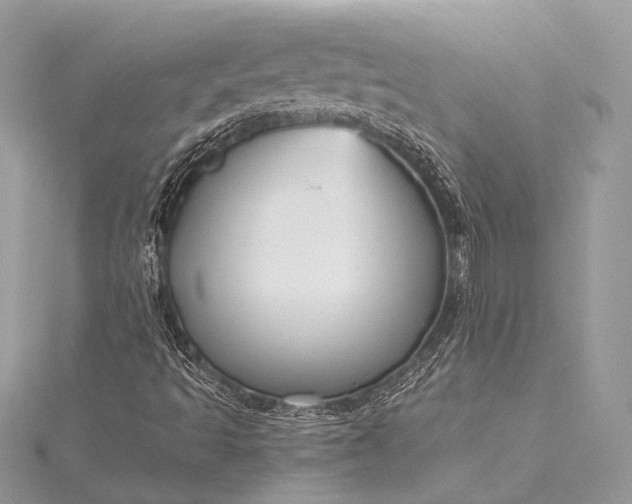 X0000115551493200911201749