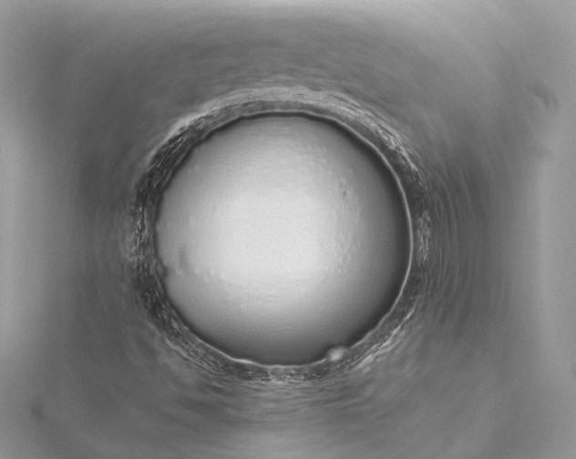 X0000115551494200911201749