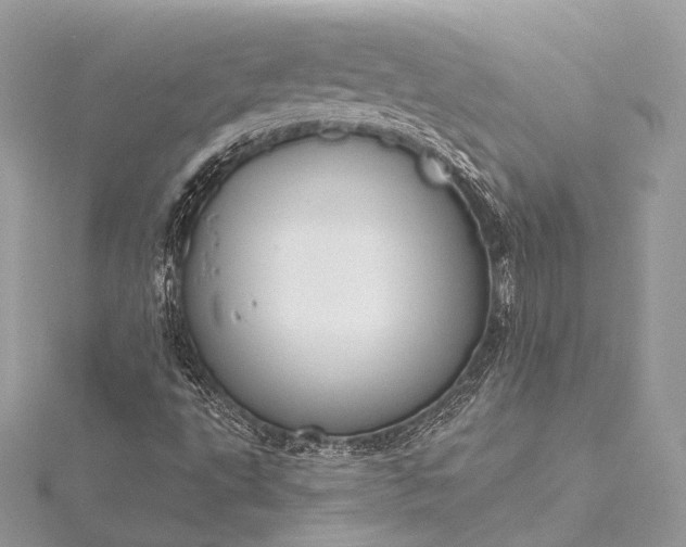 X0000115551495200911201749