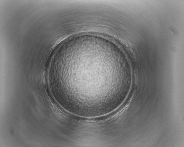 X0000115551497200911201749