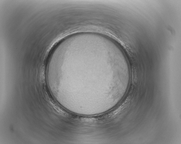 X0000115551498200911201749