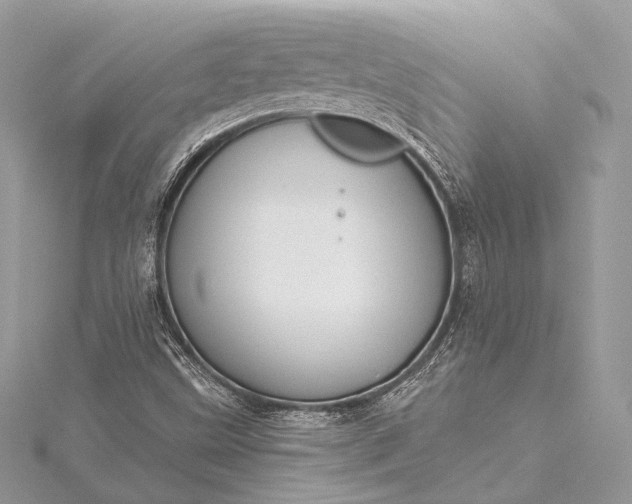 X0000115551499200911201749