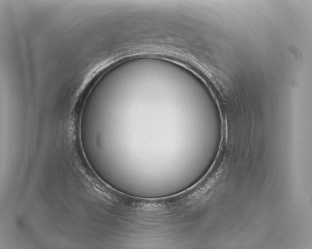 X0000115551501200911201750