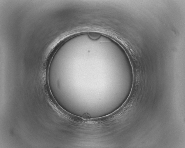 X0000115551503200911201750