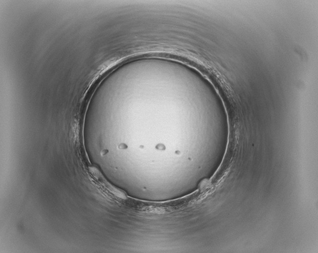 X0000115551505200911201750