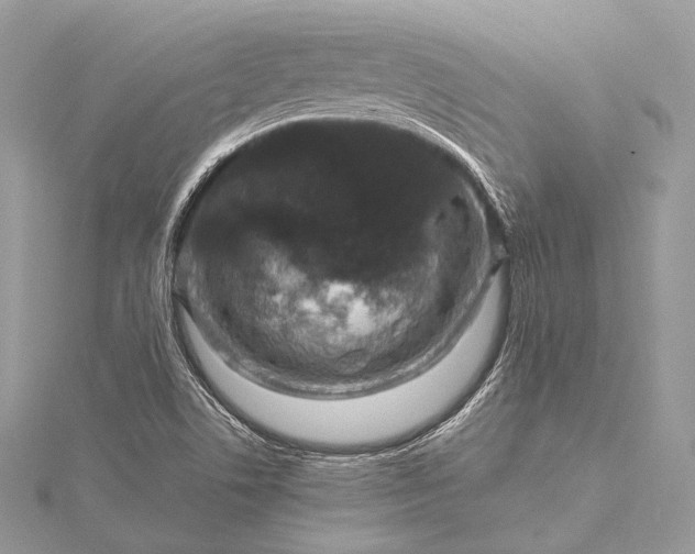 X0000115551506200911201750