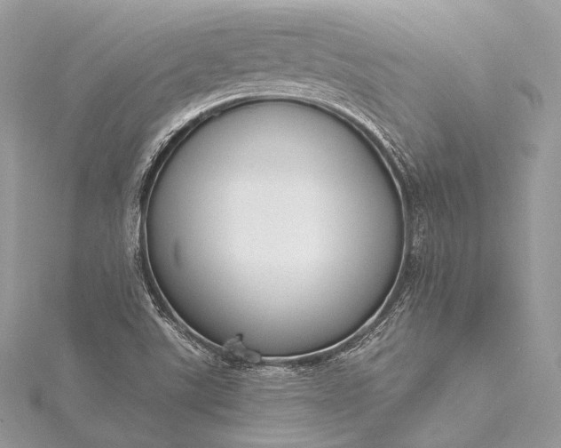 X0000115551507200911201750