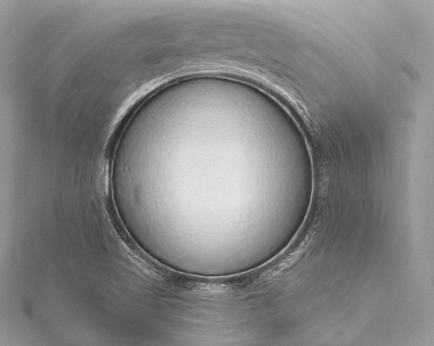 X0000115551509200911201750