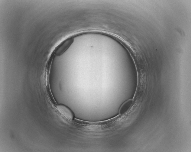 X0000115551510200911201750