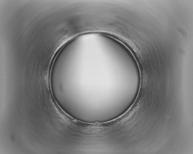 X0000115551513200911201750