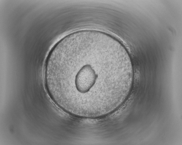 X0000115551514200911201750