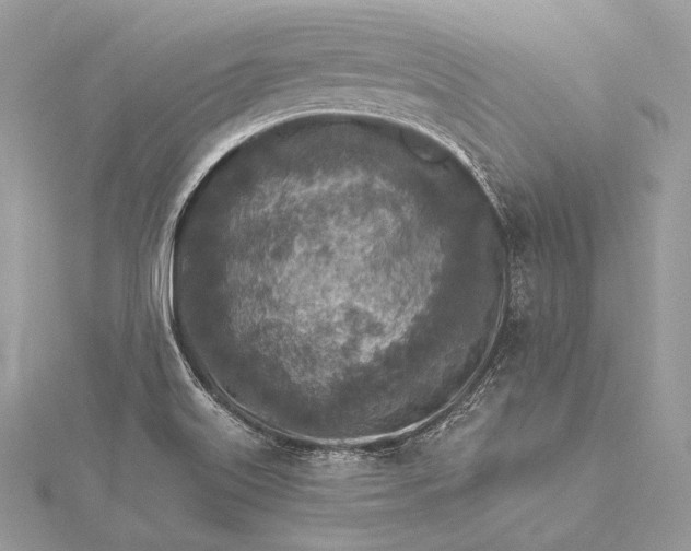 X0000115551515200911201750