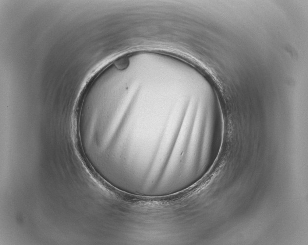 X0000115551517200911201750